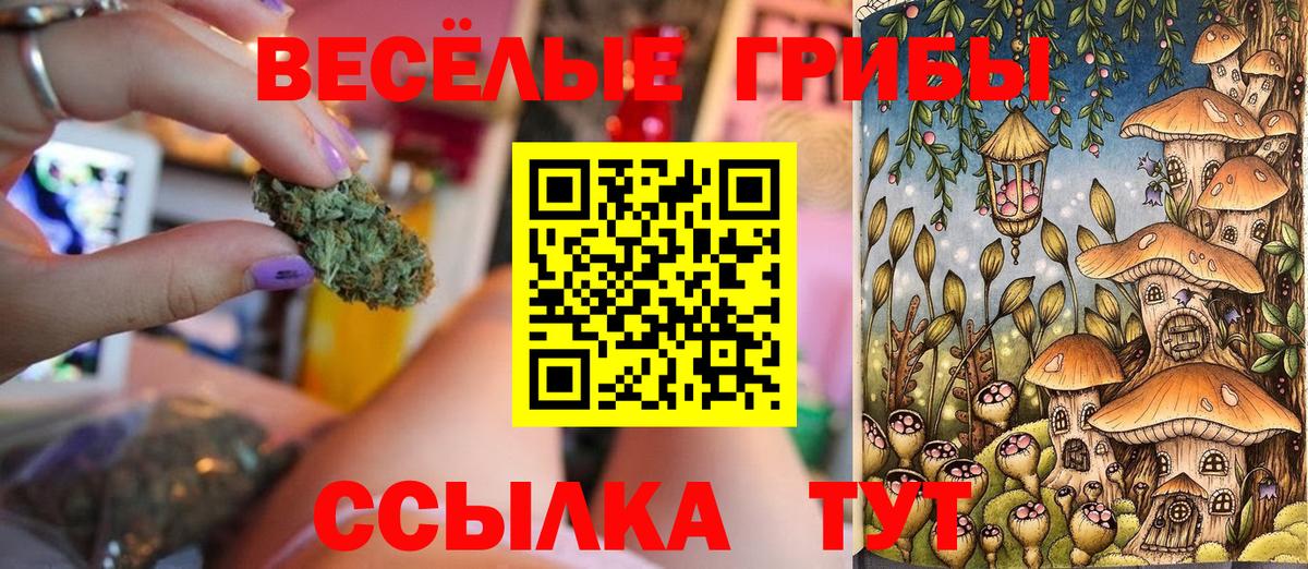 Псилоцибиновые грибы Magic Shrooms Курчатов