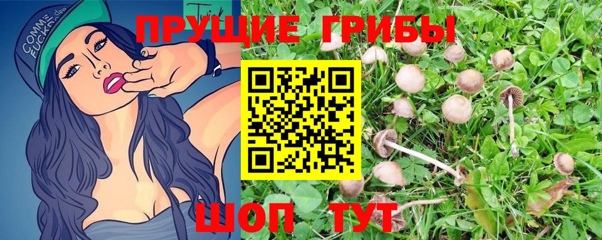 Псилоцибиновые грибы MAGIC MUSHROOMS  Вход с VPN  Галлюциногенные грибы Psilocybine cubensis  Курчатов 