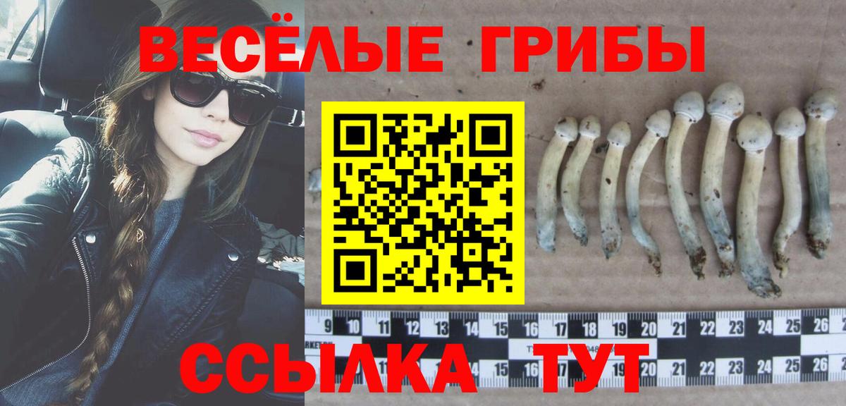 Меф   Гашиш  КОКАИН  Марихуана  МЕФ  НБОМе  Вход с VPN  Курчатов  МЕТАМФЕТАМИН 